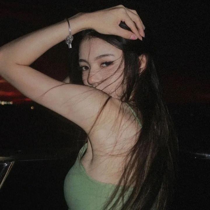 征服北极的人